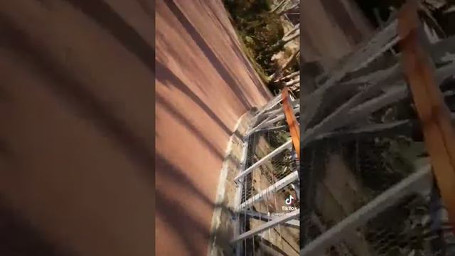 зоопарк Баку 2021 смотреть онлайн