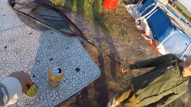 ПОЙМАЛИ КАБАНЯРУ. КАРП ГНЁТ КРЮЧКИ. РЫБАЛКА С СЫНОМ. смотреть онлайн