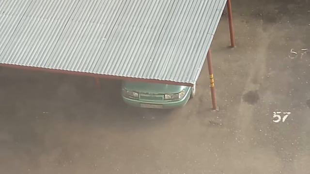 Собаку клинонуло. смотреть онлайн