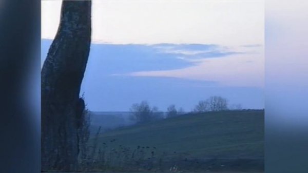 НАРОДНЫЕ ИНСТРУМЕНТЫ БЕЛАРУСИ. ЛАМПОВАЯ ЛЕКЦИЯ