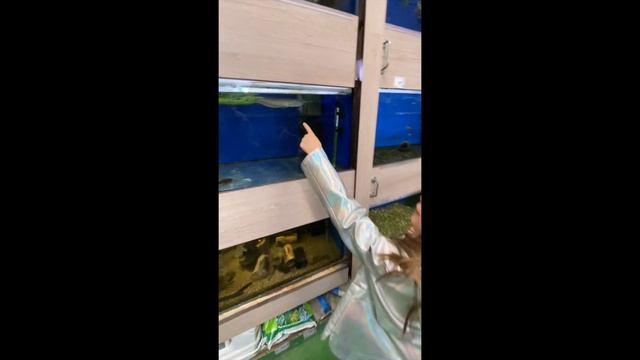новый АКВАРИУМ !!! ) смотреть онлайн