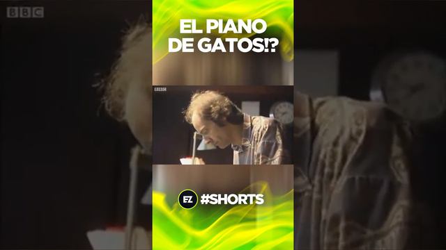 ¿EL PIANO DE GATOS? 🐱🎹😨 смотреть онлайн