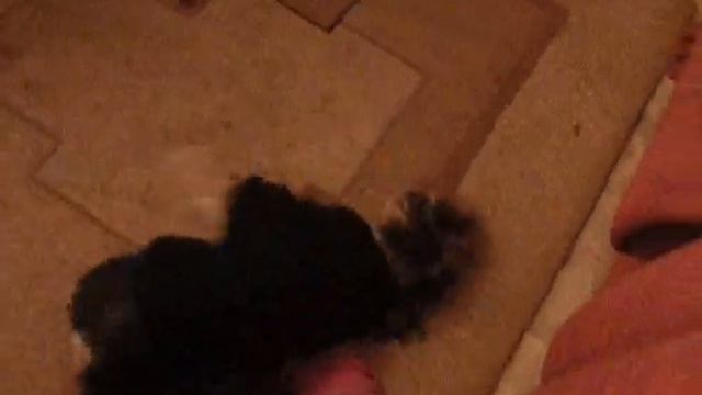 МАСТЕР КЛАСС СЛОВА БЛАГОДАРНОСТИ смотреть онлайн