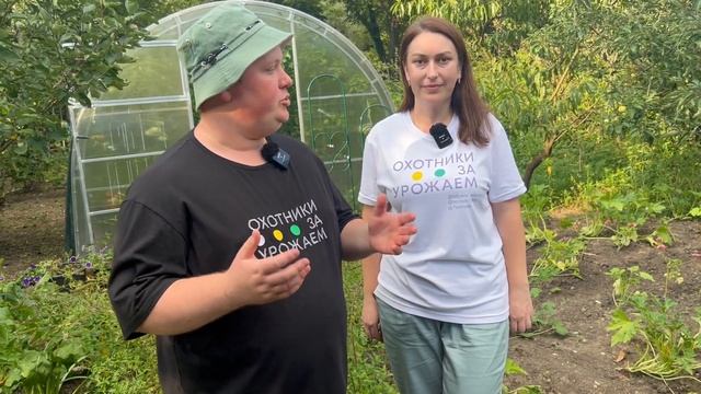 Особенности южного климата при выращивании томатов смотреть онлайн