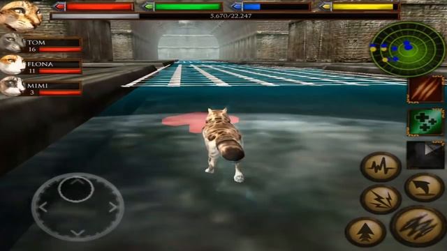 Ultimate Cat Simulator - Sewer Rat Hunting - Android/iOS - Gameplay Episode 3 смотреть онлайн