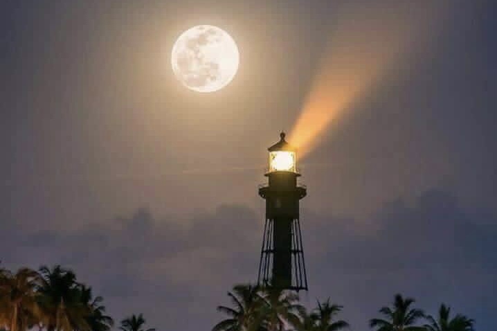 Таким со дна случайно постучали?