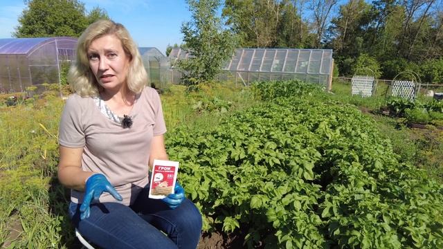 Как бороться с медведкой в огороде и можно ли избавиться навсегда? Проверенное годами средство смотреть онлайн