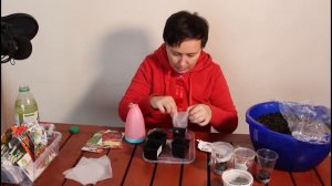 Уход за всходами ЗЕМЛЯНИКИ, посадка сельдерея и тимьяна