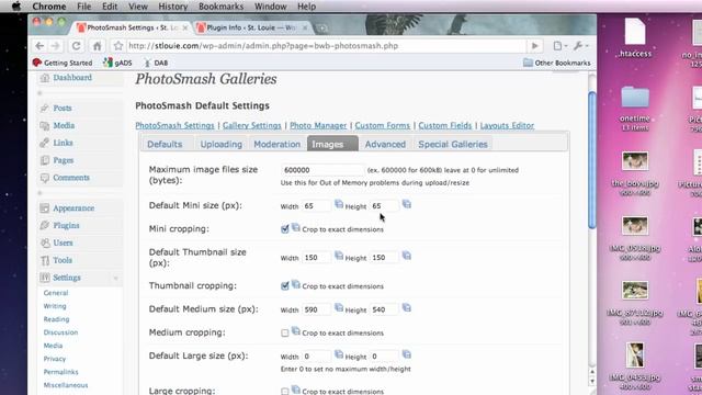 PhotoSmash Plugin for WordPress - Sizing and Resizing Images смотреть онлайн