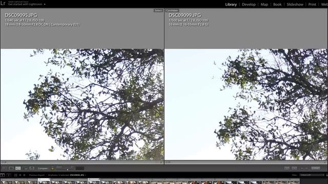 Sigma 18-50 Vs Sony 16-55 Vs Tamron 17-70 Lens Comparison
