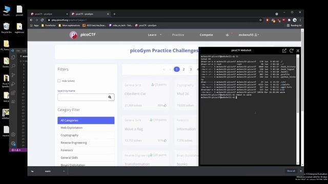 picoCTF Walkthru [4] - Wave A Flag смотреть онлайн