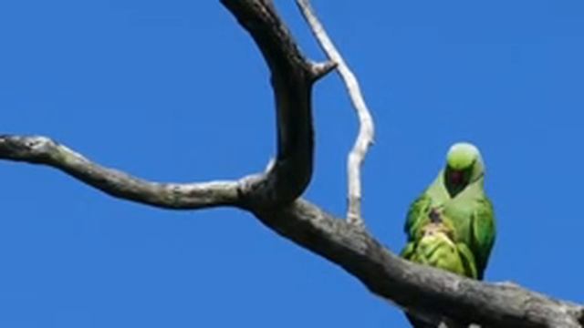 Невероятно Красивая музыка - Шикарные пейзажи Сергей Грищук