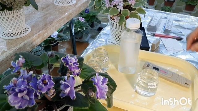 Очистка воды методом замораживания! Тестируем талую воду! Подходит ли она для полива фиалок? смотреть онлайн