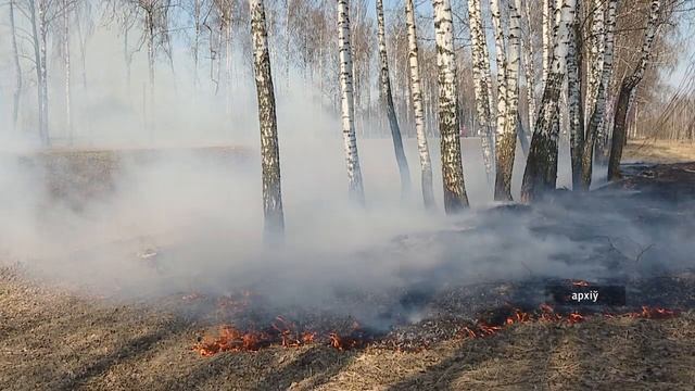 В Гомельском районе прошло заседание комиссии по ЧС смотреть онлайн