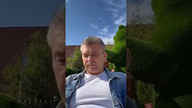 ТRUE TEHЬ смотреть онлайн