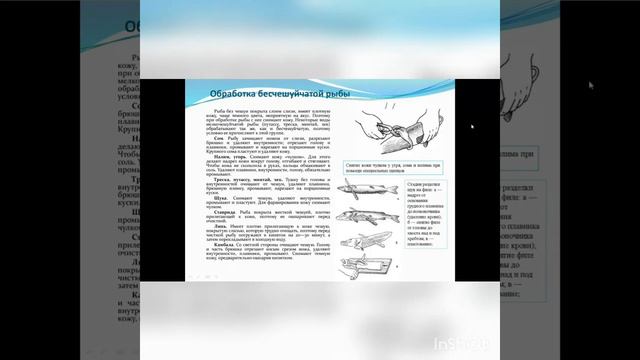 Кулинарная обработка рыбы смотреть онлайн