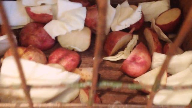Кушающие кролики (великаны) смотреть онлайн
