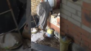 Swimmer 370xl установка консолей.