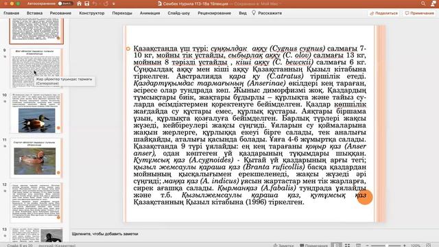 zoom 0 11 смотреть онлайн