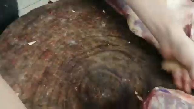 Финка из стали D2 в деле! Видео отзыв из Саратова ! Олег спасибо за отзыв! смотреть онлайн