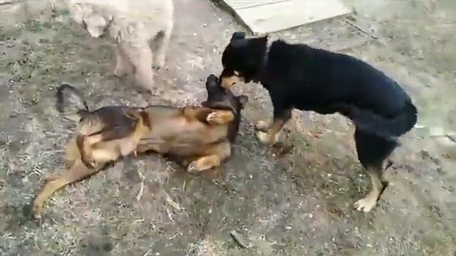 Эрик смотреть онлайн