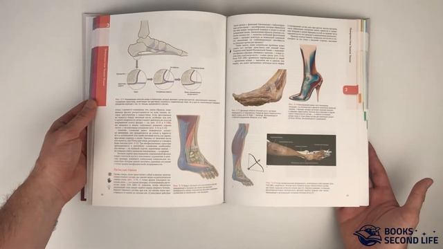Книга "Анатомические поезда" 3-е издание | Превью смотреть онлайн