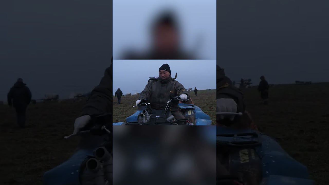 ДЕНЬ ОЛЕНЯ ОБЩИНА ЯМБ ТО 2019г 8 смотреть онлайн