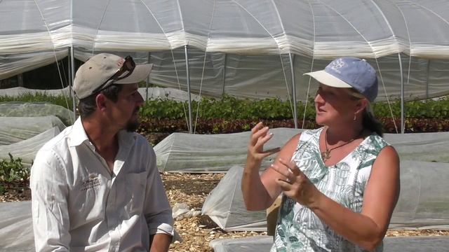 Stephanie Hafferty; No Dig Growing And Eating...