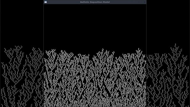 Ballistic Deposition Model (Next-Nearest-Neighbors) смотреть онлайн