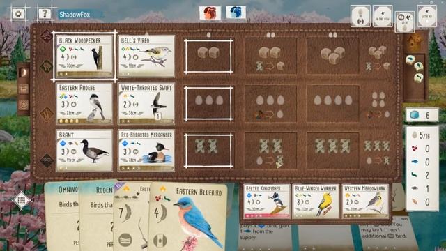 Wood Duck Is A Villain! Wingspan Board Game Strategy & Gameplay смотреть онлайн