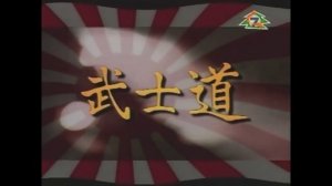 Бои без правил бушидо Виктор Зангиев