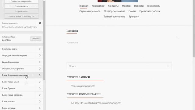 Работа в Word Press смотреть онлайн