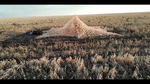 Неудачная гусиная охота весна 2022 Такое у меня впервые