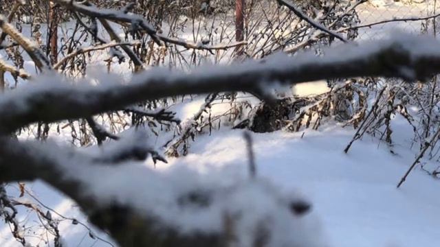 Песня "Я не могу иначе"(отрывок) смотреть онлайн