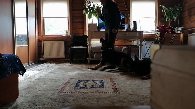 VID_20221007_131408.mp4 смотреть онлайн