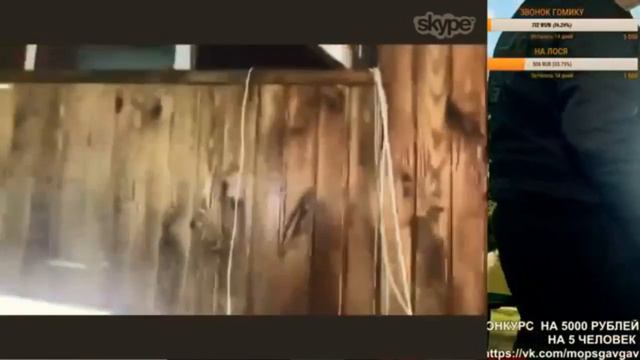 МОПС ДЯДЯ ПЕС СТРИМ ДОНАТ В ОПИСАНИИ смотреть онлайн