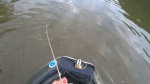 Рыбалка на сети! Такого вы точно не видели!