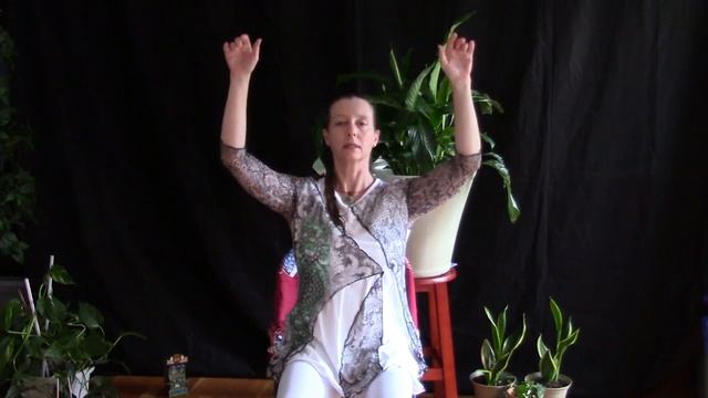 5 Elements Tai Chi seated sneak peek смотреть онлайн