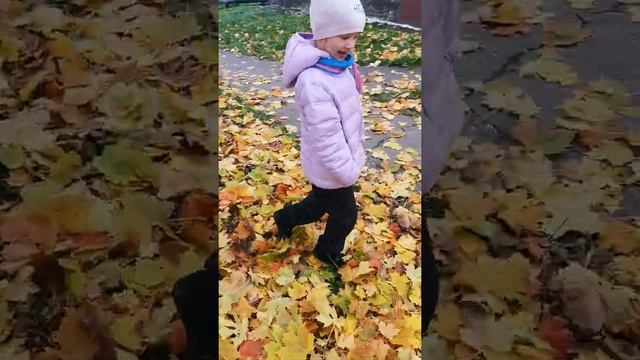 Вот и наступила золотая осень смотреть онлайн