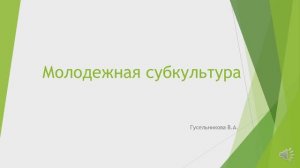 Молодежная субкультура