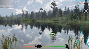 MY FISHING WORLD/Берш/БЕЗ прилова