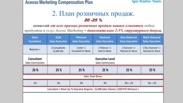 Презентация Acesse Marketing от 10.07.13. Ольга Кох смотреть онлайн
