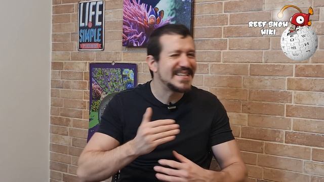 Reef Show Wiki: Coral Green Star Polyps смотреть онлайн