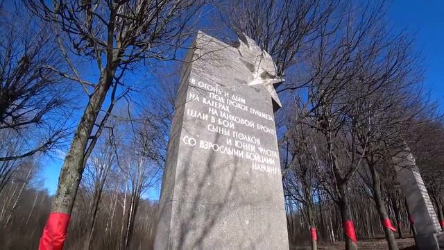 Цветок жизни смотреть онлайн