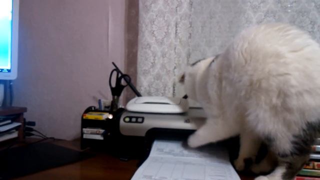 помогаем печатать документы смотреть онлайн