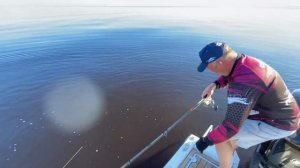 Спиннинг Narval Argument76MH. Рыбинка. Андрей Чуланов.