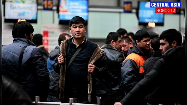 Россия хочет открыть границу для некоторых мигрантов: кого пустят в страну смотреть онлайн