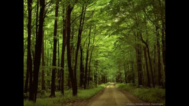 Eric Dubay: Big Bang Evolution is a Masonic Lie Hiding Intelligent Design (Mirrored) смотреть онлайн