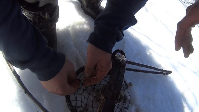 В поисках новых бобриных мест. Дикие леса. Specially for MAMONT смотреть онлайн