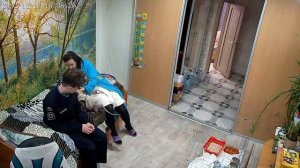 Канадский сфинкс, агрессия...